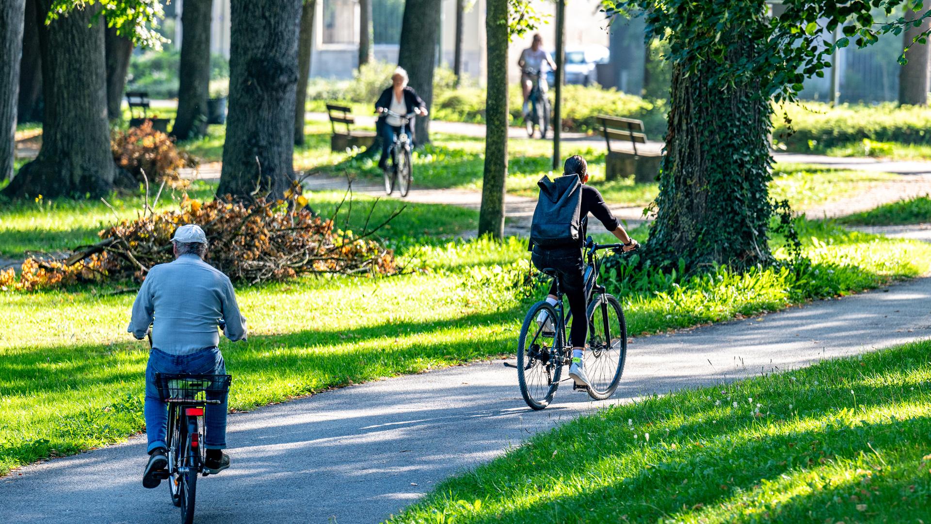 Radler fahren bei sonnigem Wetter in Landshut durch den Stadtpark
