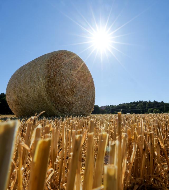 Baden-Württemberg, Unlingen: Rundballen auf einem abgeernteten Getreidefeld