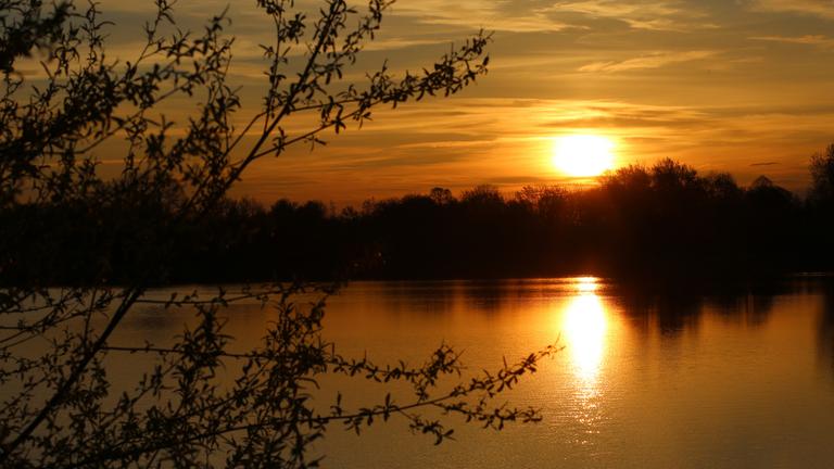 Sonnenaufgang über den Veckenstedter Fischteichen im Nordharz.