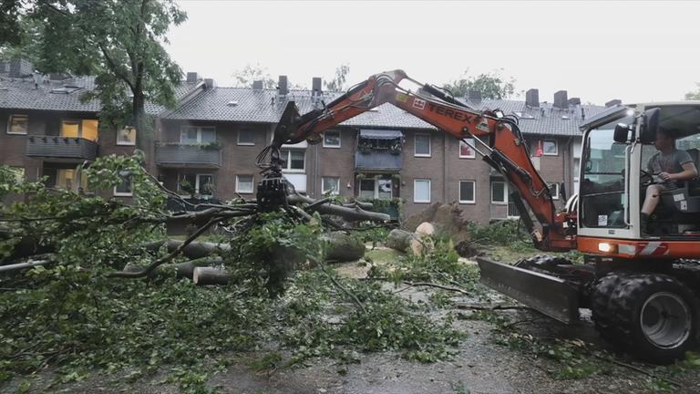 Bagger räumt Sturmschäden weg