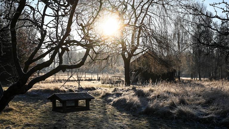 Eine Wiese mit einer Hütte und vielen Bäumen, durch die die Sonne durchscheint.