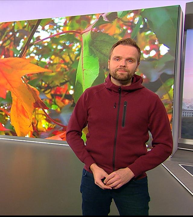 So wird das Wetter am Montag