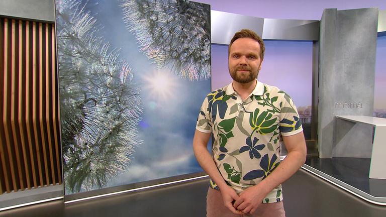 So wird das Wetter am Dienstag