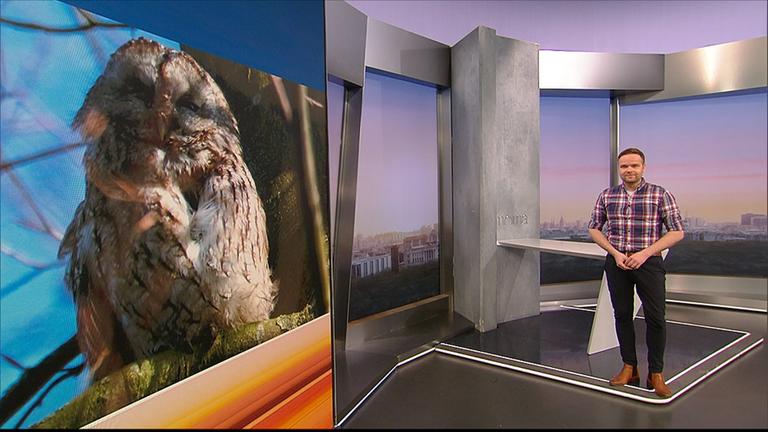 Und so wird das Wetter am Donnerstag