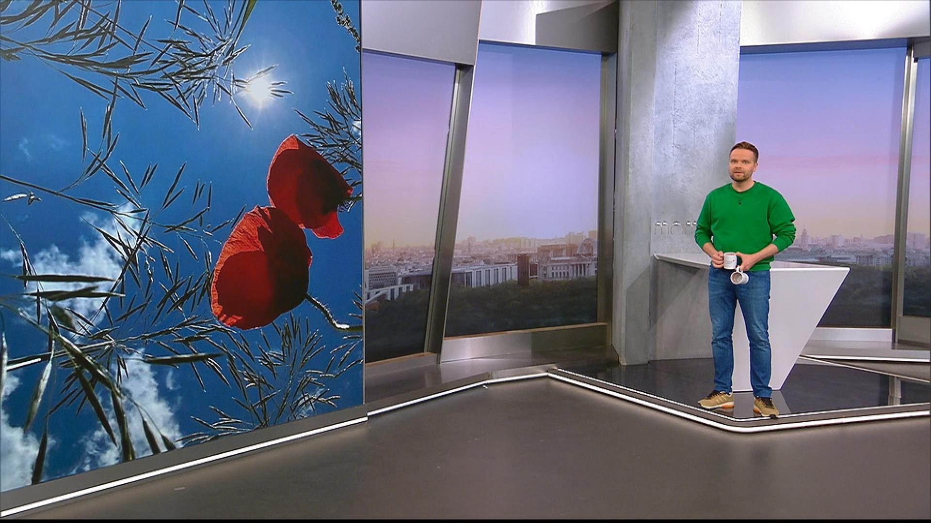 So wird das Wetter am Freitag