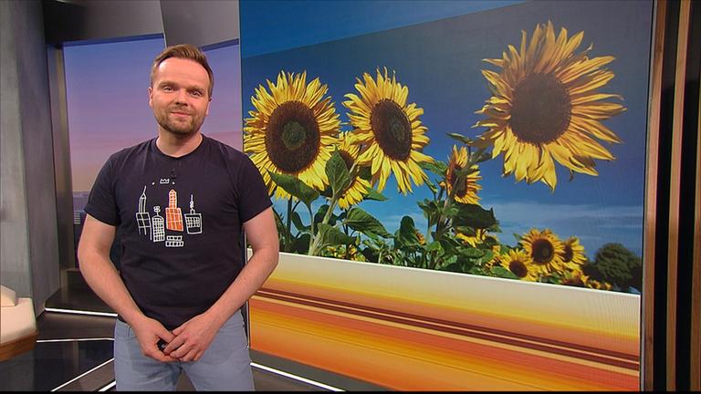 So wird das Wetter am Mittwoch