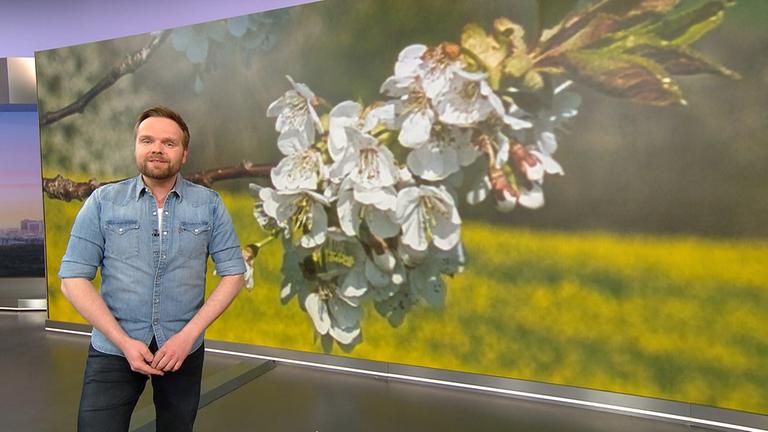 So wird das Wetter am Montag