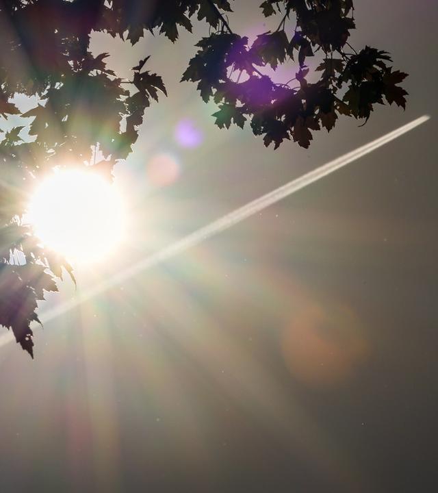 Symbolbild: Durch die Blätter eines Baumes strahlt die Sonne.