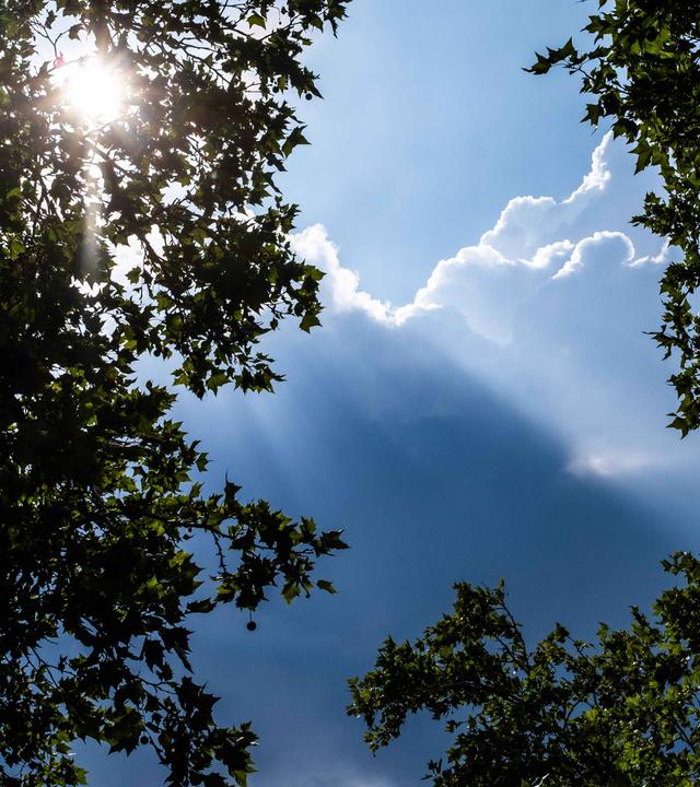 Sturm und Sonne: Wetterumschwung mit sommerlichen Aussichten 
