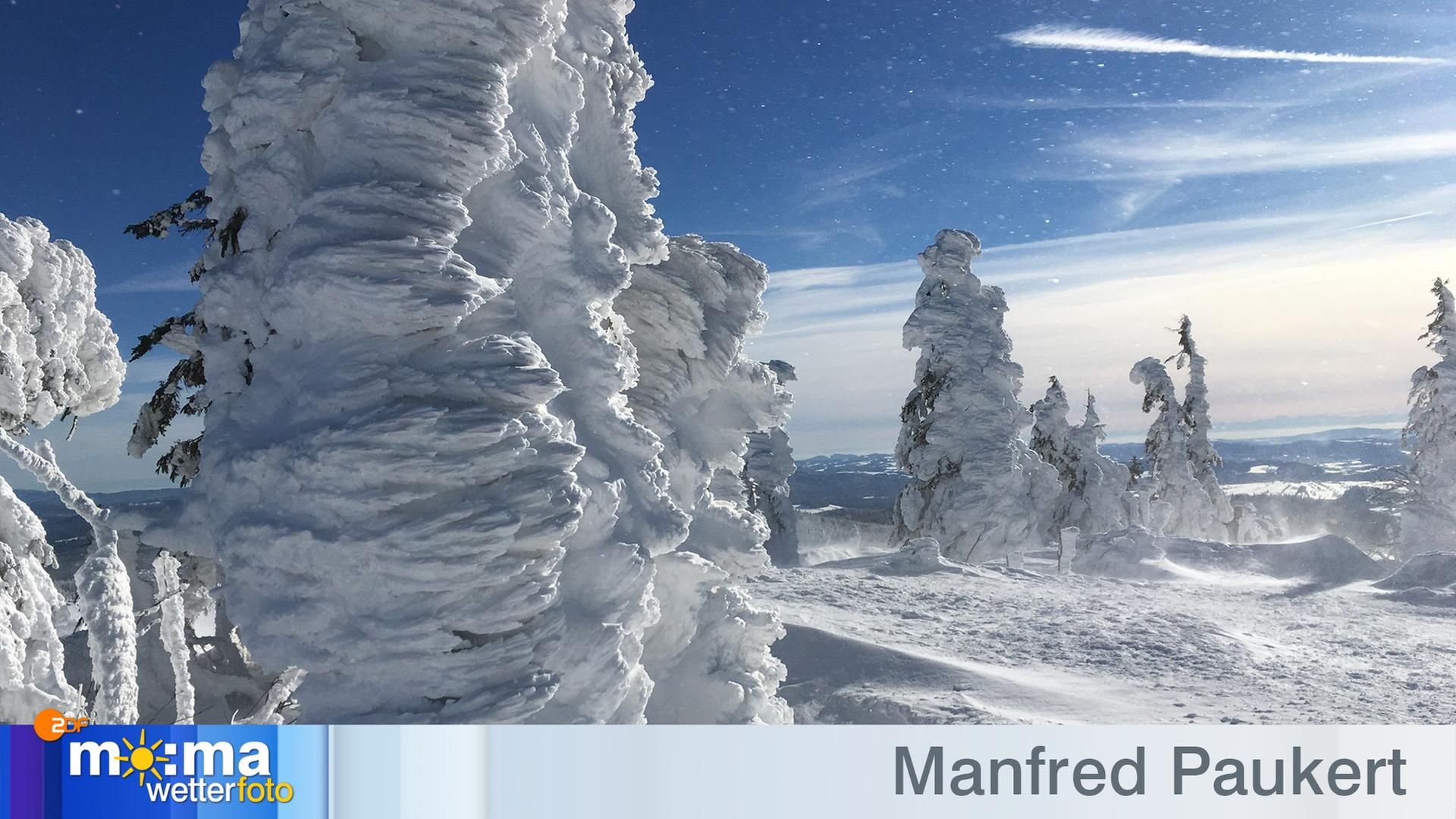 Gewinnerfoto von Manfred Paukert