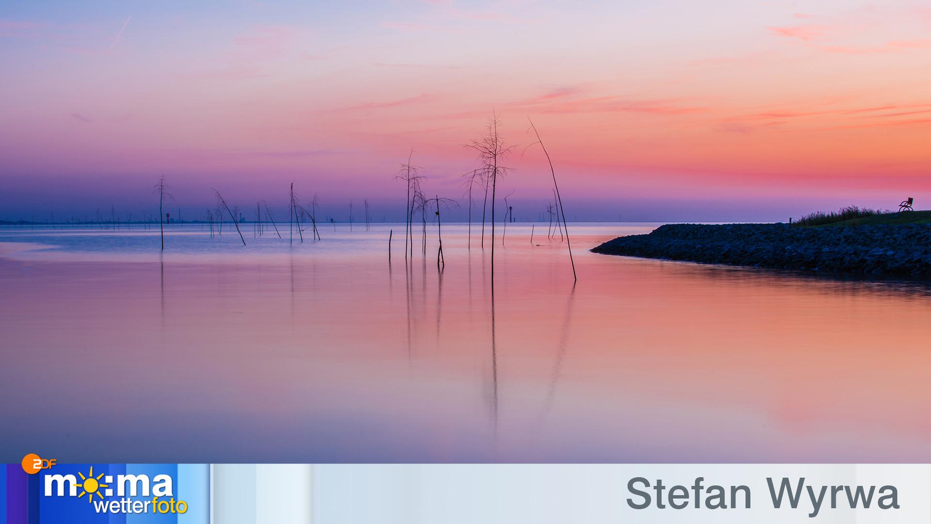 Gewinnerfoto vom 30. August 2019