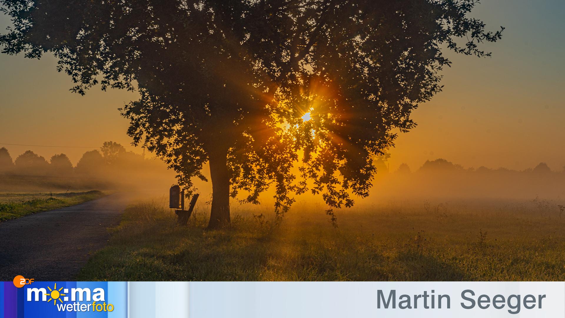 Gewinnerfoto vom 27. September 2019