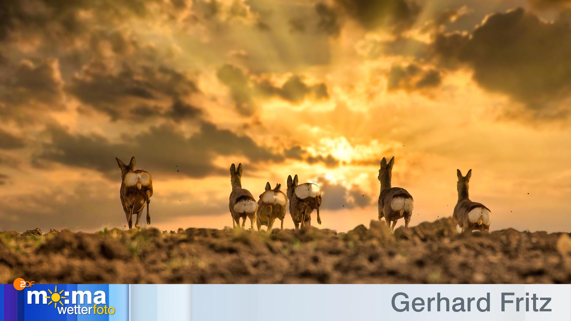 Foto von Gerhard Fritz