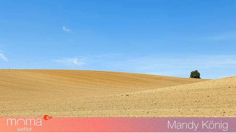 Gewinnerfoto vom 16. Mai 2025