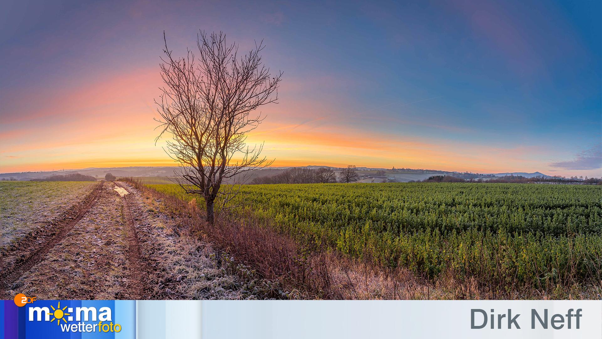 Gewinnerfoto vom 17.Januar 2020