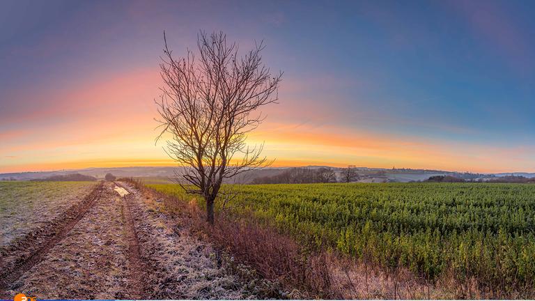 Gewinnerfoto vom 17.Januar 2020