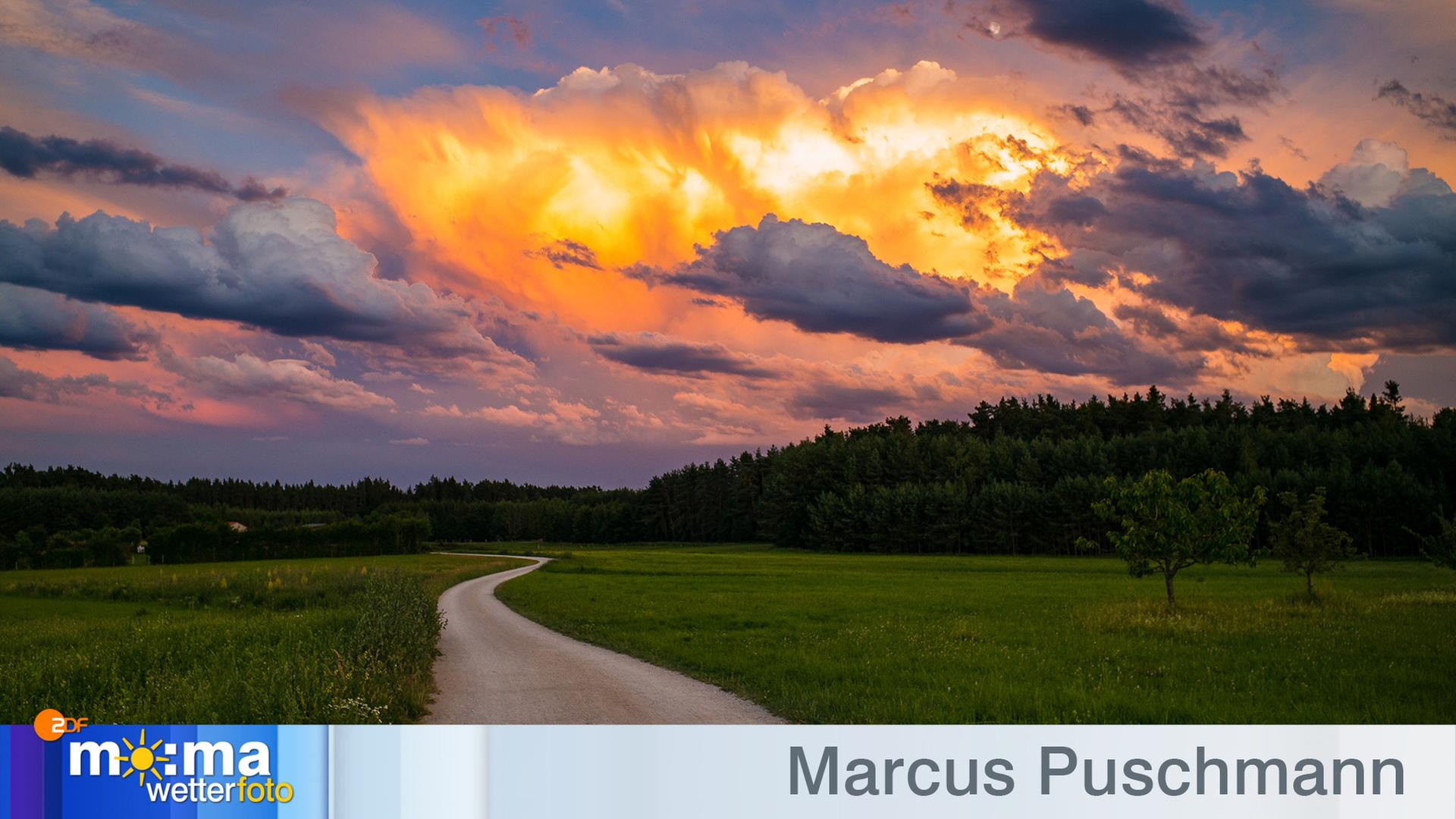 Gewinnerfoto vom 3. Juli 2020