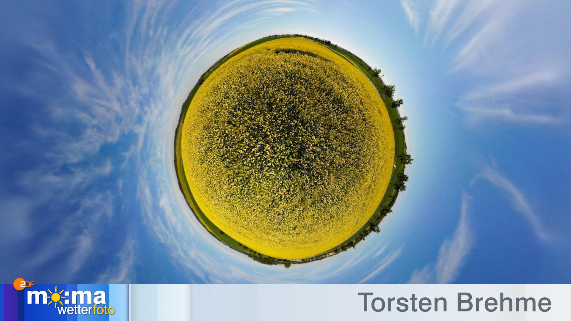 Gewinnerfoto vom 11. Mai 2018