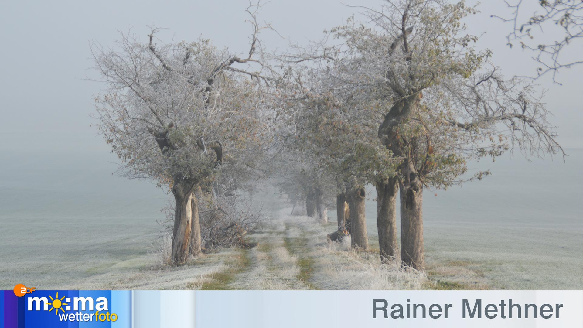 Gewinnerfoto vom 23. November 2018