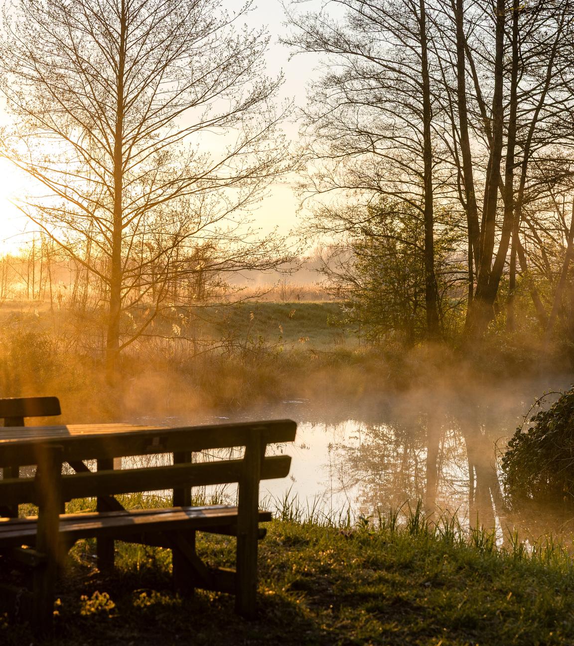 Die Sonne steigt über die von Nebel überzogene Landschaft im Spreewald am 18.04.2026.