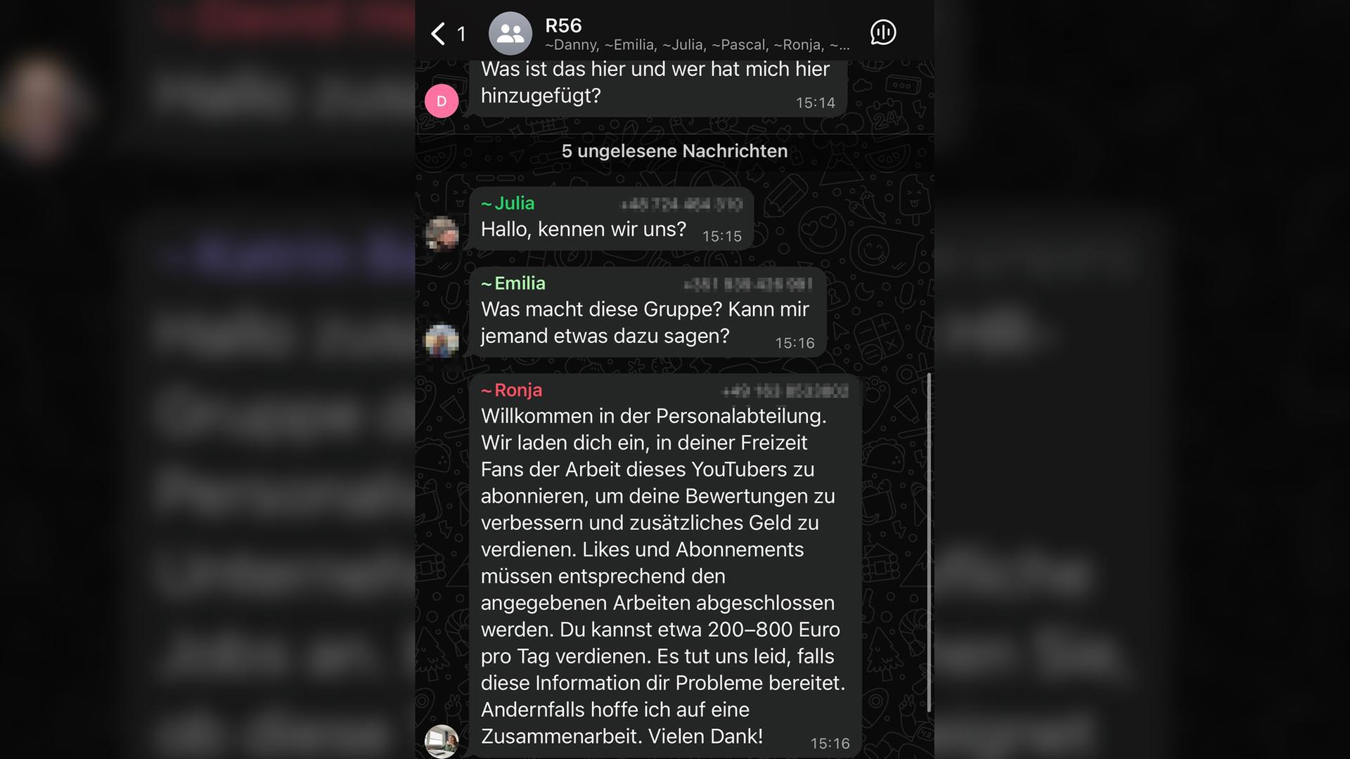 WhatsApp-Betrug, Gruppenchat
