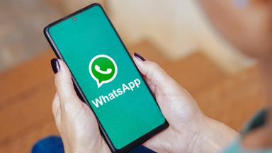 Benutzername bei WhatsApp: Darauf sollten User achten