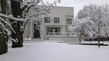 Villa Beer in Wien