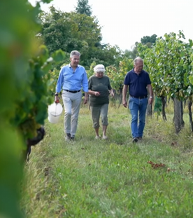 wien-wein