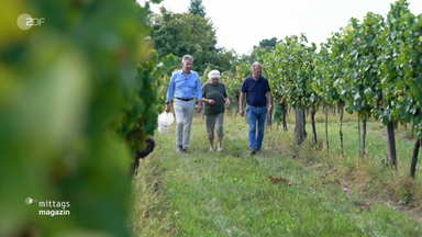 wien-wein