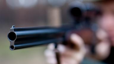 Wilderei in Deutschland wird brutaler