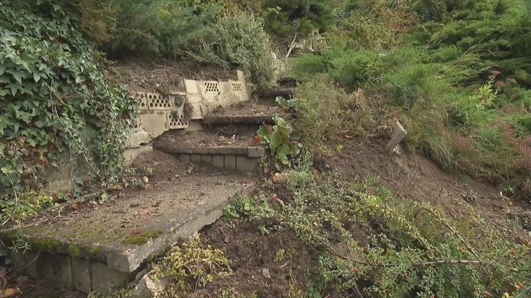Umgewühlter Garten von Wildschweinen 