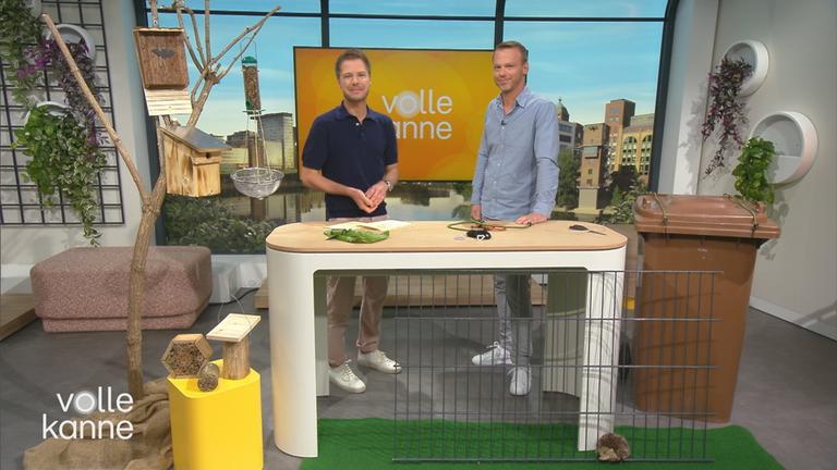 Wildtiere in der Stadt