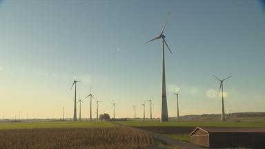 Wildwuchs bei Windkraftanlagen