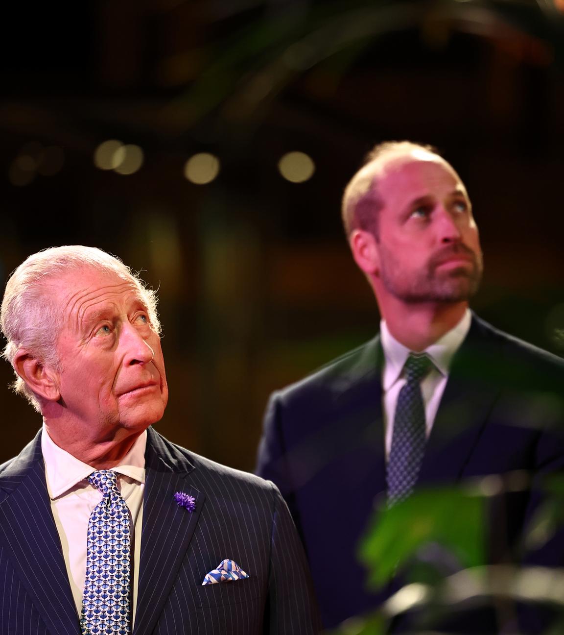 William und Charles zusammen auf Klimatreffen