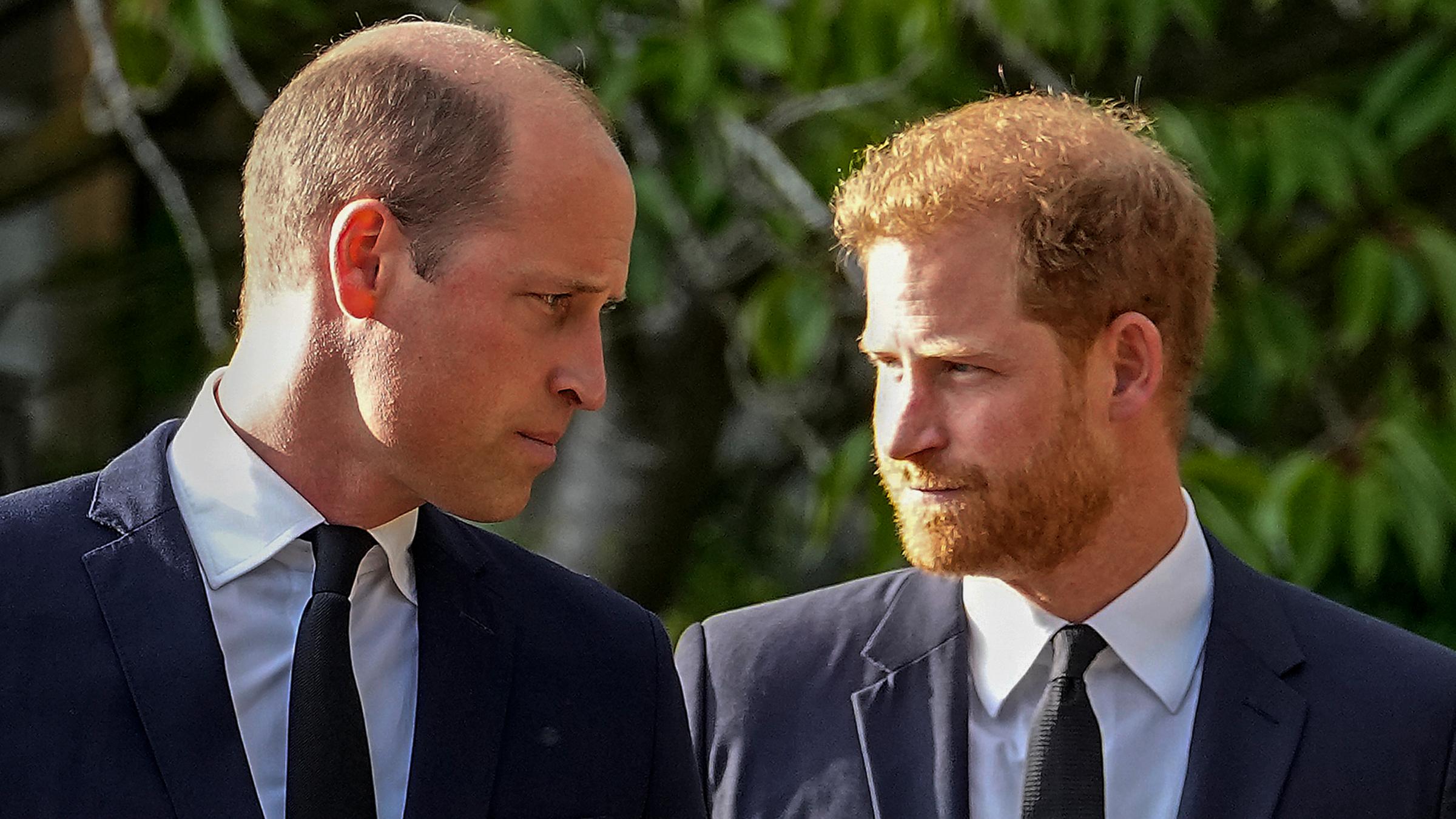 Harry und William schauen sich mit gerunzelten Stirnen in die Augen.