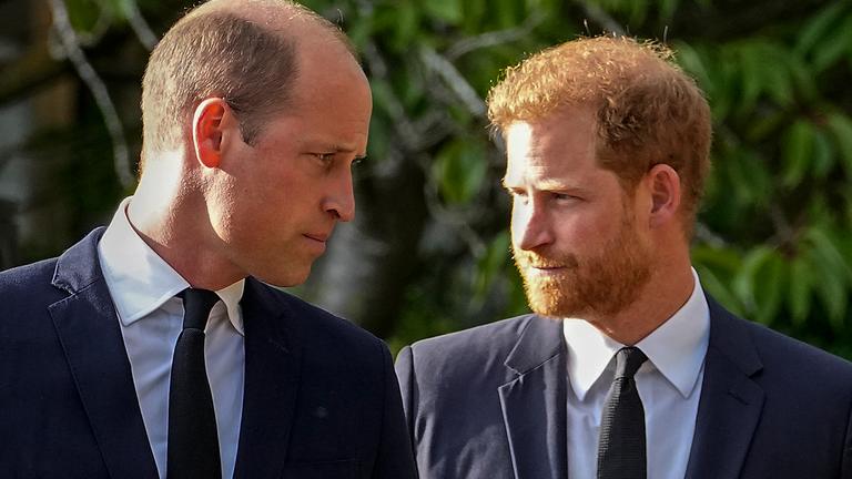 Harry und William schauen sich mit gerunzelten Stirnen in die Augen.