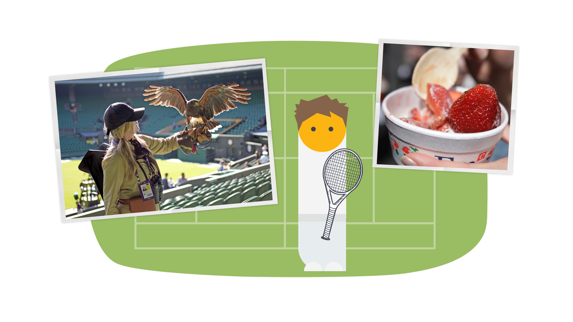 Wimbledon - Grafik