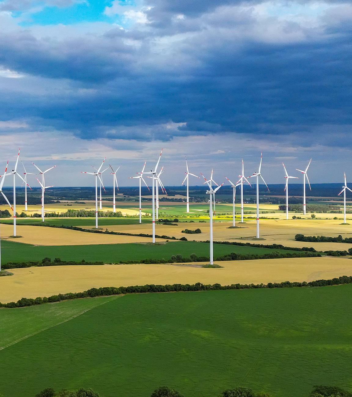Wolken ziehen über die Landschaft mit vielen Windenergieanlagen im Windpark "Odervorland" in Petersdorf (Brandenburg) 