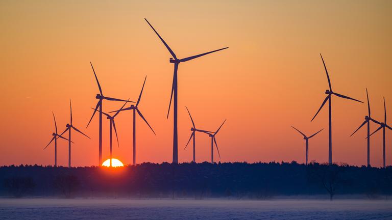 Windräder in Brandenburg