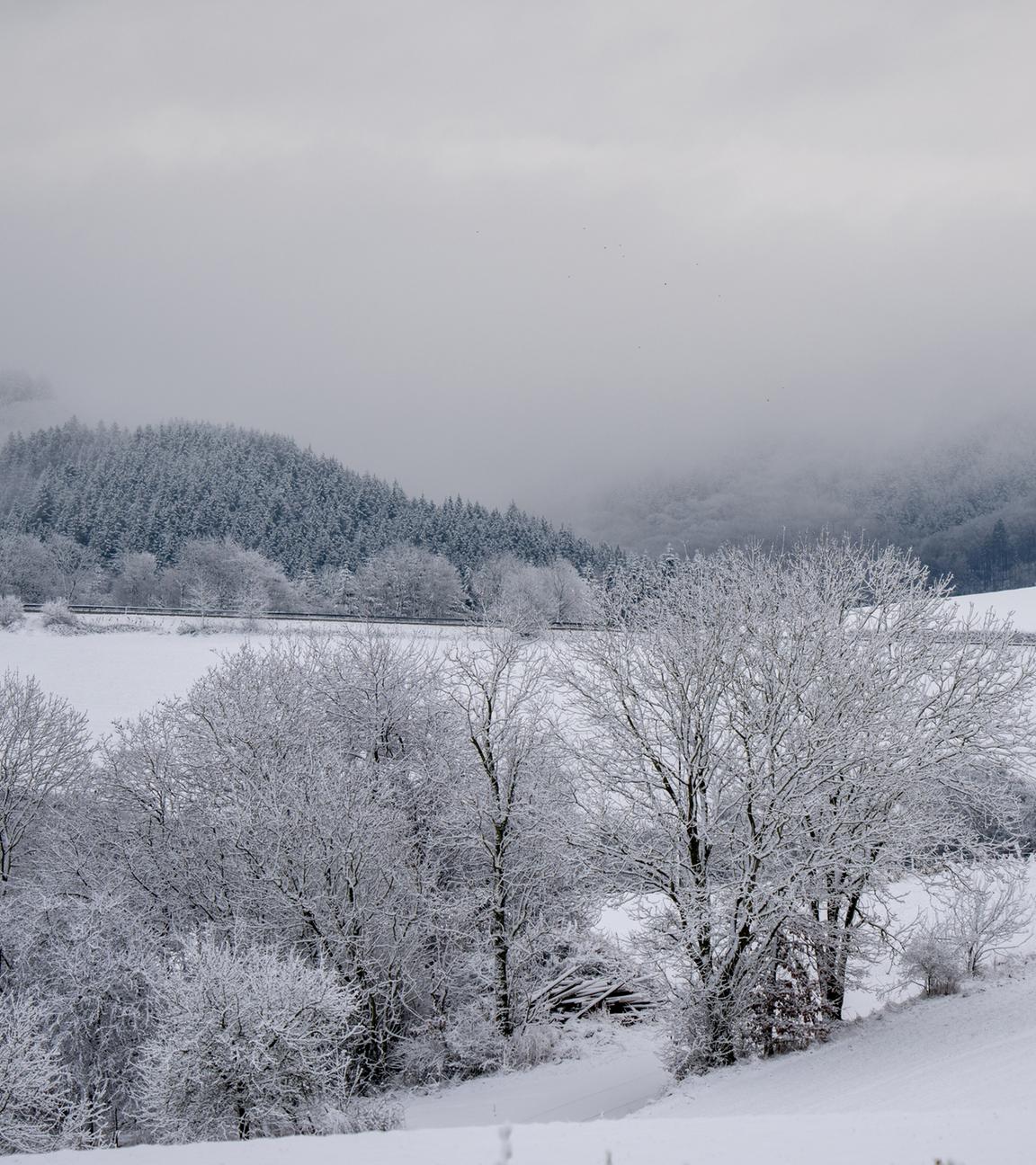 Nebel zieht über die verschneite Landschaft bei Philippsweiler in der Eifel.