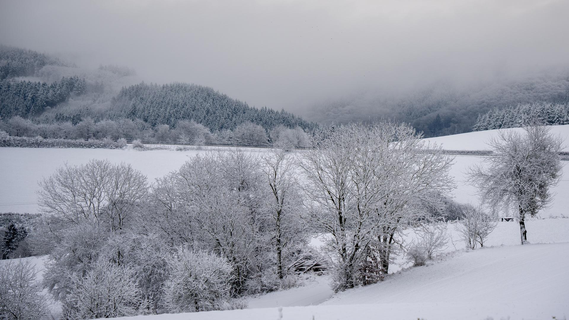 Nebel zieht über die verschneite Landschaft bei Philippsweiler in der Eifel.