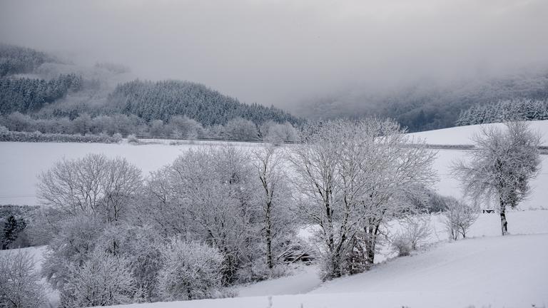 Nebel zieht über die verschneite Landschaft bei Philippsweiler in der Eifel.