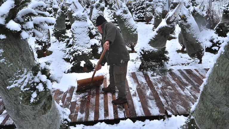 Ein Weihnachtsbaumverkäufer befreit die Wege auf seinem Gelände vom Schnee.