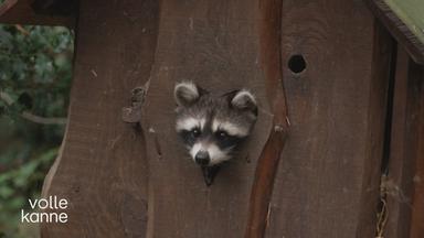 Winterschlaf im Wildpark