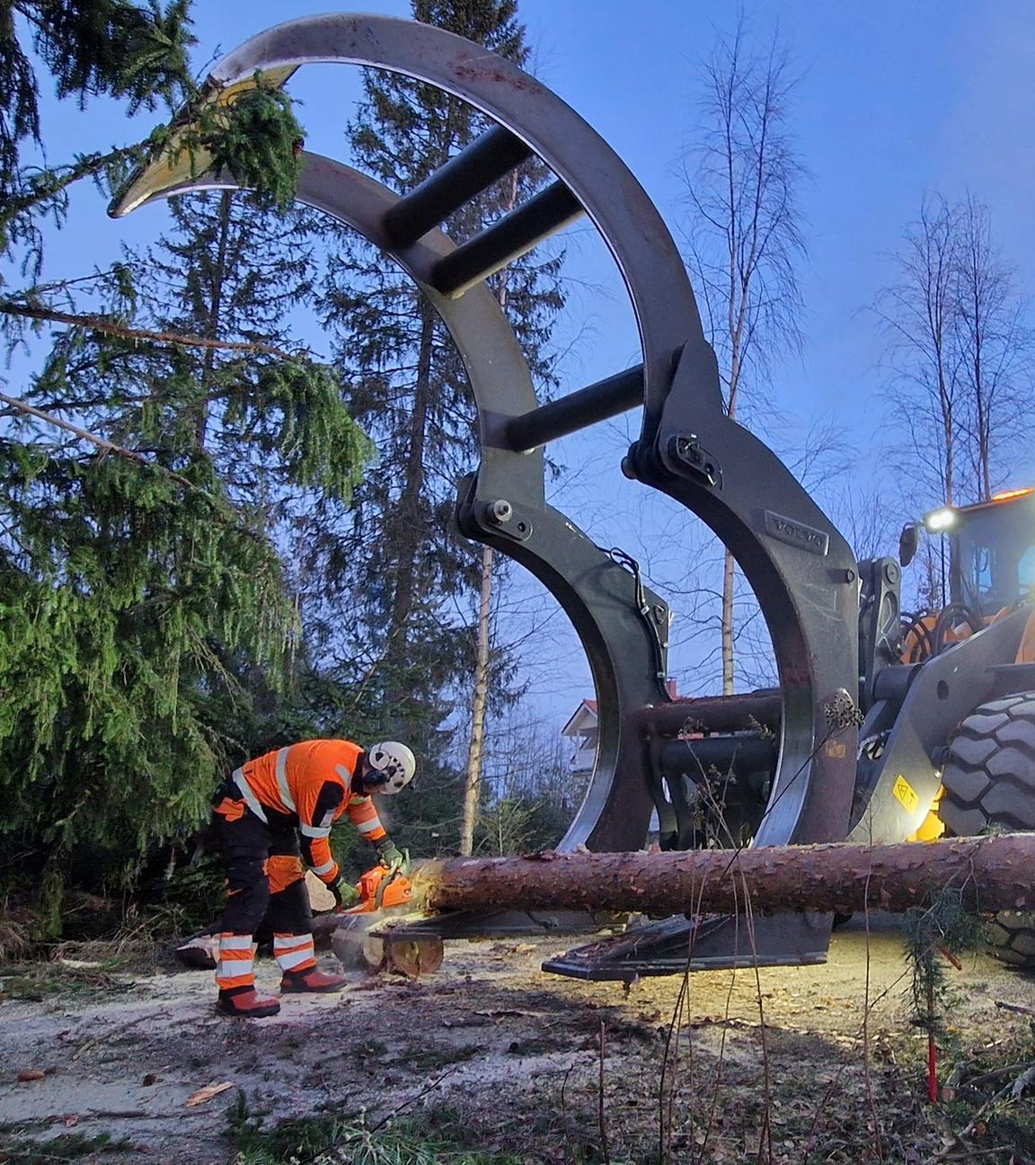 Die Folgen von Wintersturm Johannes in Skandinavien