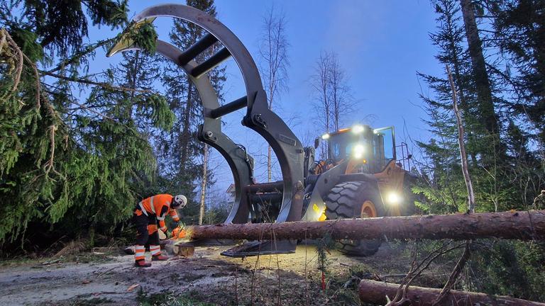 Die Folgen von Wintersturm Johannes in Skandinavien