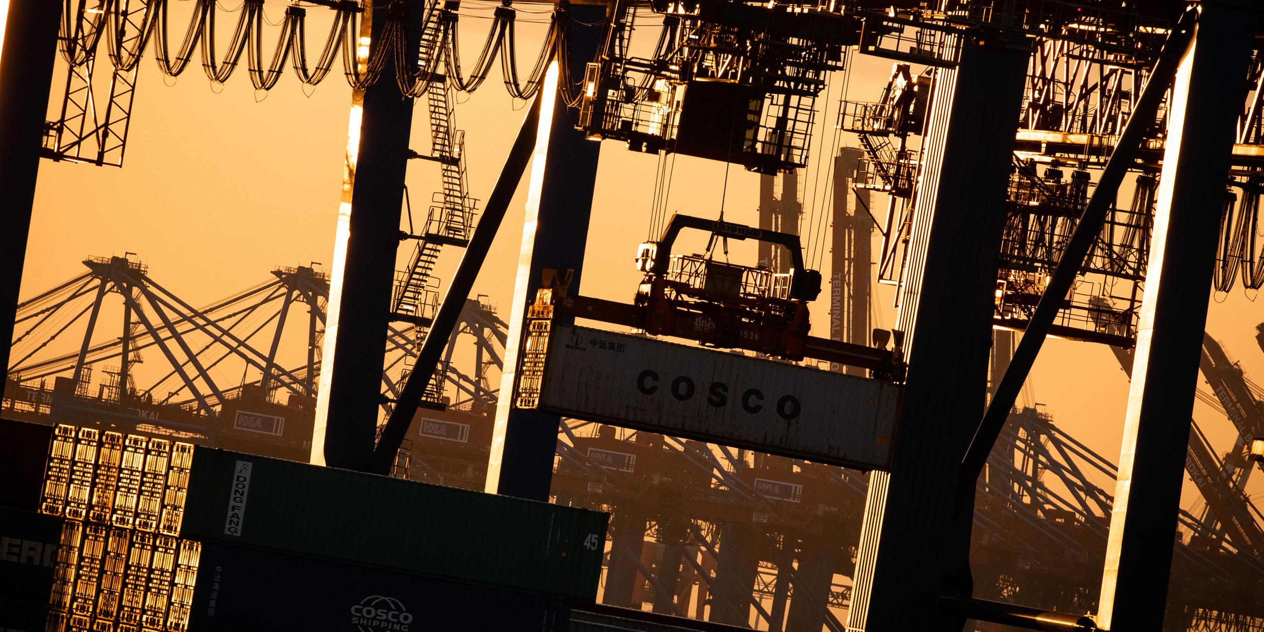 Archiv: Ein Containerschiff wird am Containerterminal Tollerort der Hamburger Hafen und Logistik AG (HHLA) am 08.11.2019 entladen.
