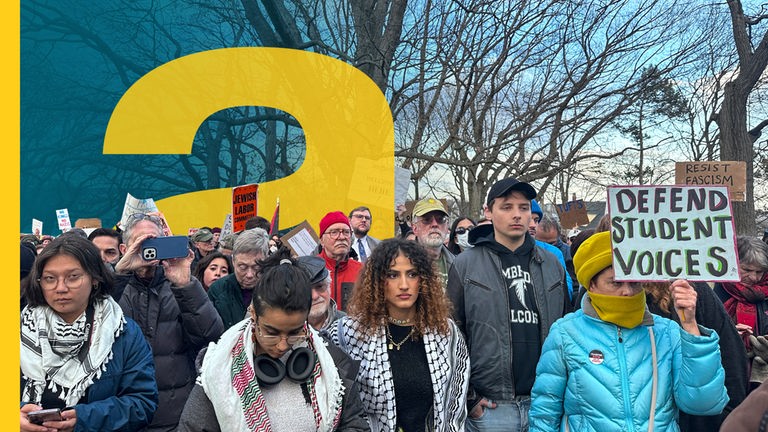 Demonstrierende Studenten