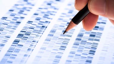 Wissenschaftler untersucht DNA-Sequenz