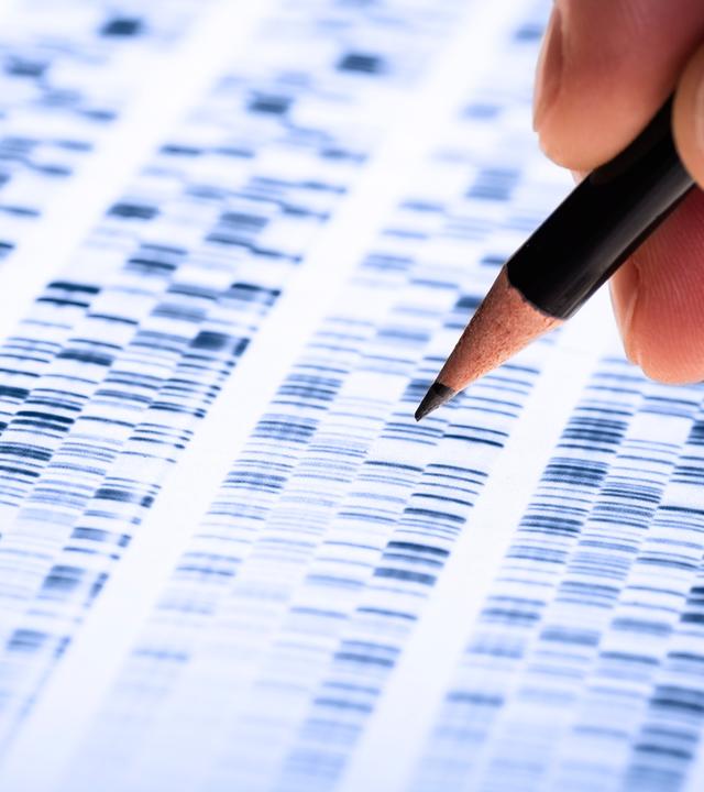 Wissenschaftler untersucht DNA-Sequenz